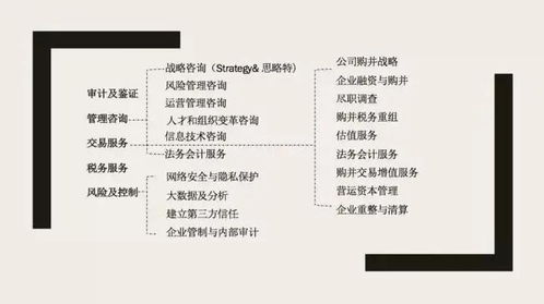 四大咨詢之外 信息技術(shù)咨詢服務(wù)的優(yōu)勢(shì)與機(jī)遇