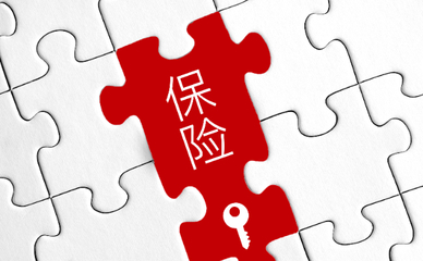中國(guó)人壽年金險(xiǎn)哪款好？揭秘推薦產(chǎn)品與高性?xún)r(jià)比選擇
